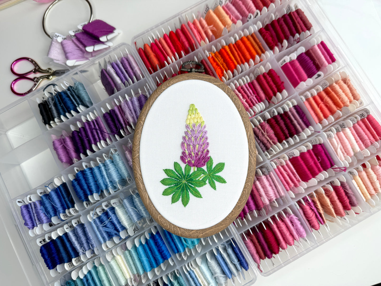 Lupin Hand Embroidery Pattern | PDF + Video Tutorials for Beginners and Intermediate Stitchers | 7-8 in Hoop Size (Copy) (Copy)