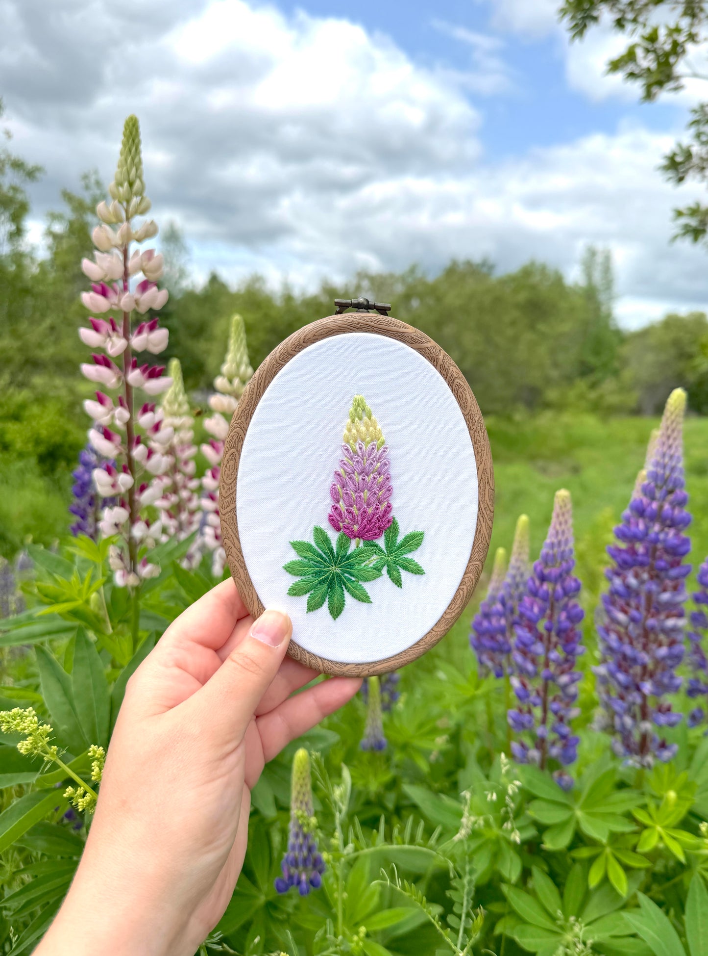 Lupin Hand Embroidery Pattern | PDF + Video Tutorials for Beginners and Intermediate Stitchers | 7-8 in Hoop Size (Copy) (Copy)